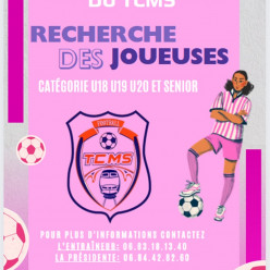 Recherche joueuse
